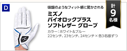 ミズノ バイオロックプラス ソフトレザー グローブ