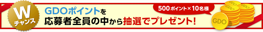 GDOポイントを応募者全員の中から抽選でプレゼント!