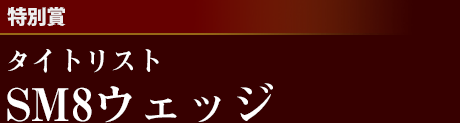 [特別賞]タイトリストSM8ウェッジ