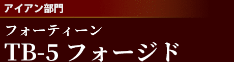 [アイアン部門]フォーティーンTB-5 フォージド