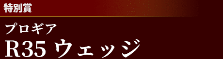 [特別賞]プロギアR35 ウェッジ
