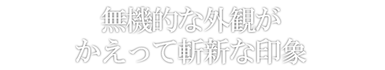 無機的な外観がかえって斬新な印象
