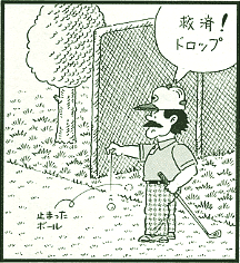 いいじゃないか・・