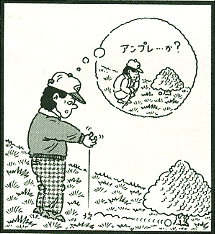 そんなアホな・・