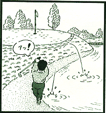 泣きっ面に八・・