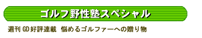 ゴルフ野性塾SP