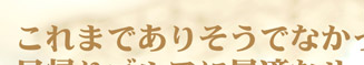 これまでありそうでなかった