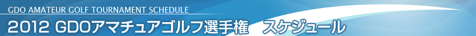 2012 GDOA}`AStI茠 XPW[