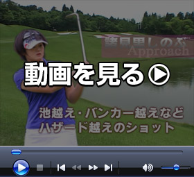 ��������� >>