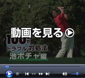 ��������� >>