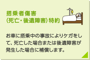 搭乗者傷害（死亡・後遺障害）特約：お車に搭乗中の事故によりケガをして、死亡した場合または後遺障害が生じた場合に補償します。