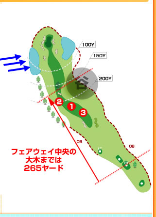 HOLE17