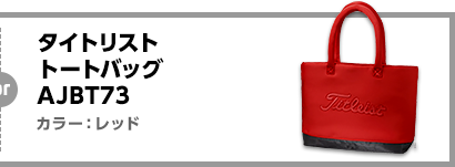 【銀賞】2名（各1名ずつ）タイトリスト トートバッグ AJBT73