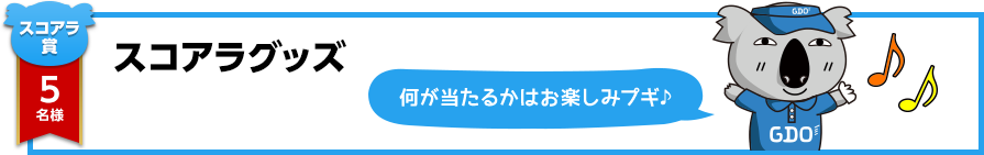 【スコアラ賞】スコアラマーカー　5名様