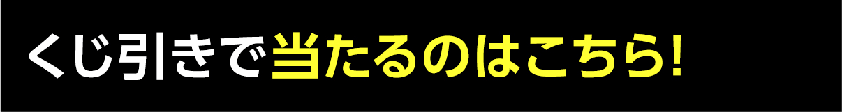 くじ引きで当たるのはこちら！
