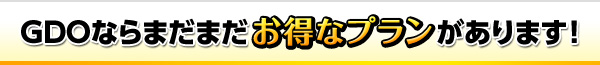 GDOならまだまだお得なプランがあります!