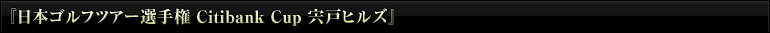 w{StcA[I茠 Citibank Cup ˃qYx