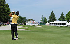 w{StcA[I茠 Citibank Cup ˃qYx