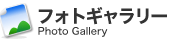 tHgM[ Photo Gallery