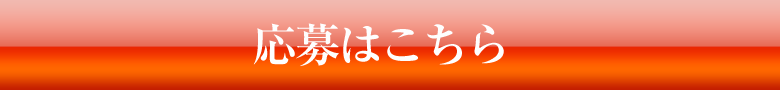 ~Ym NXGCg501 ͂