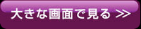 傫ȉʂŌ