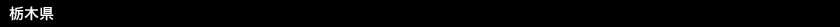 Ȗ،