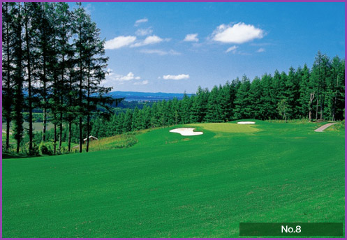 PRINCE GOLF RESORT 】北海道 北海道CC大沼コース／富良野GC／上士幌