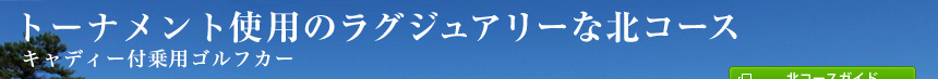 �g�[�i�����g�̖k�R�[�X�i�L���f�B�[�t��p�S���t�J�[�j2011�N4��16���i�y�j�v���I�[�v���I�I
