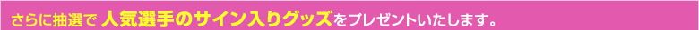 ����ɒ��I�� �l�C�I��̃T�C������O�b�Y���v���[���g�������܂��B