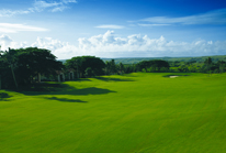 2 PAR4 HANDYCAP 9