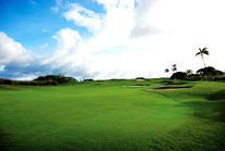 3 PAR4 HANDYCAP 9