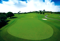 10 PAR4 HANDYCAP 7