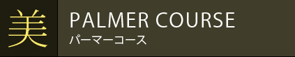  PALMER COURSE p[}[R[X