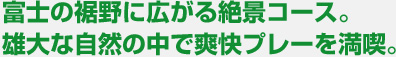 xm̐ɍLiR[XB
YȎR̒őuv[𖞋iB
