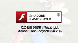 Adobe Flash Player