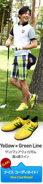 Yellow ~ Green Line