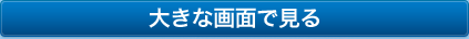 大きな画面で見る