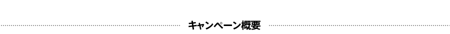 キャンペーン概要