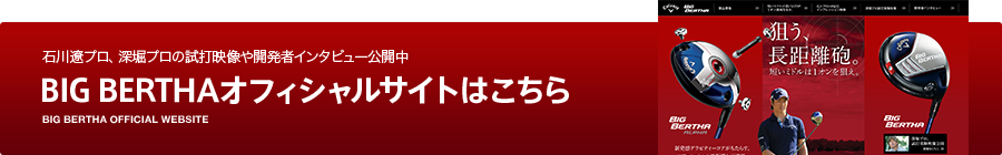 BIG BERTHAオフィシャルサイトはこちら