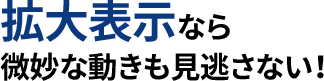 point2 : 拡大表示なら微妙な動きも見逃さない！