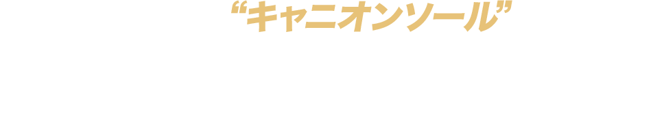 革新的なソール形状“キャニオンソール”がもたらす圧倒的な打ちやすさと安心感「C-030」がウェッジの概念を変える！