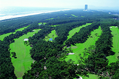 九州（宮崎県）