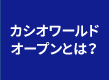 カシオワールドオープンとは？