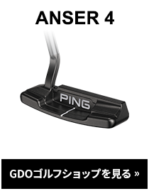 ANSER 4