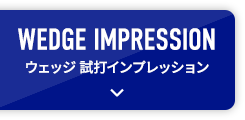 WEDGE IMPRESSION ウェッジ 試打インプレッション