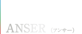 丸みを帯びたデザインが特徴の元祖“ピン型”パター。 ANSER （アンサー）