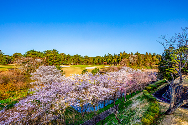 太平洋クラブ八千代コース