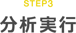 STEP3 分析実行