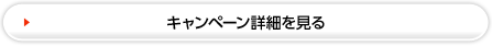 キャンペーン詳細を見る）
