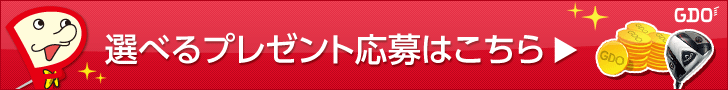 選べるプレゼント応募はこちら
